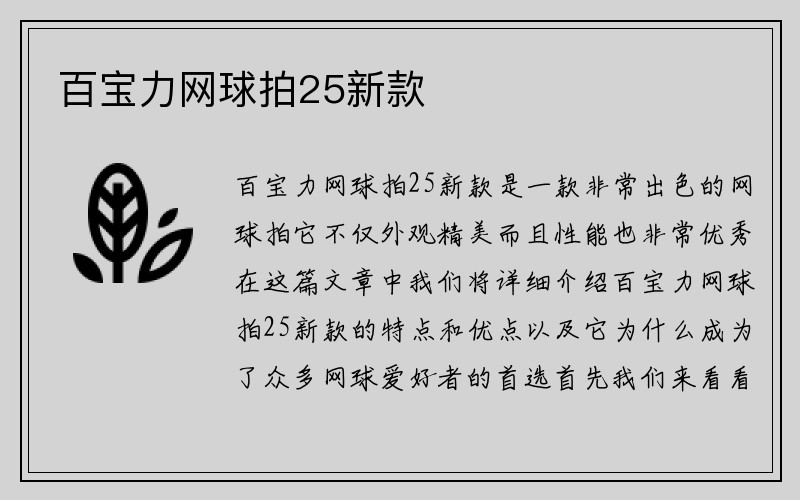 百宝力网球拍25新款