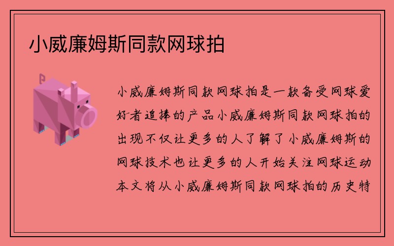 小威廉姆斯同款网球拍