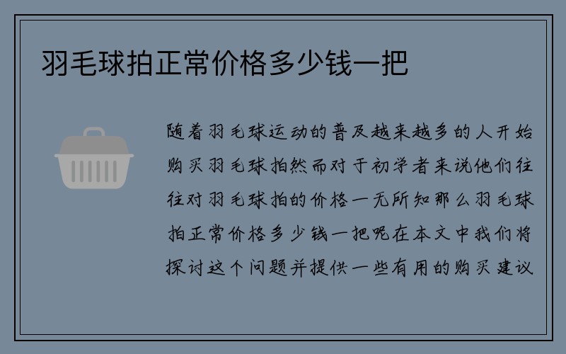 羽毛球拍正常价格多少钱一把