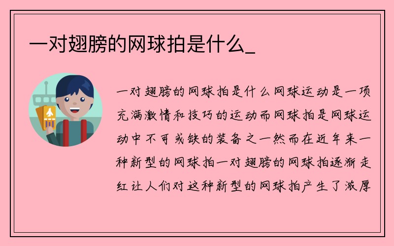 一对翅膀的网球拍是什么_