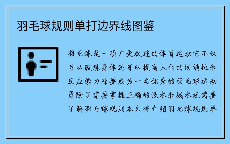 羽毛球规则单打边界线图鉴