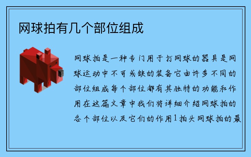 网球拍有几个部位组成